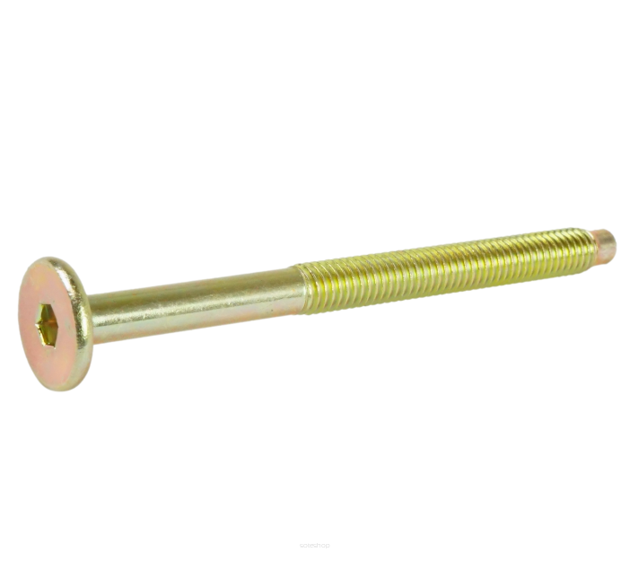 M6 X 70 mm connector bolt