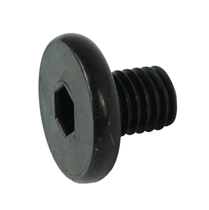 Metric screw with a cylindrical head M8 x 10 mm, black zinc plated